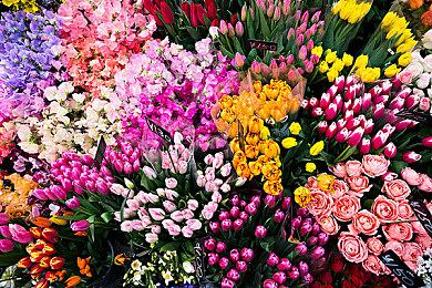 《时间旅者：重生曙光》新预告 进一步展示游戏内容